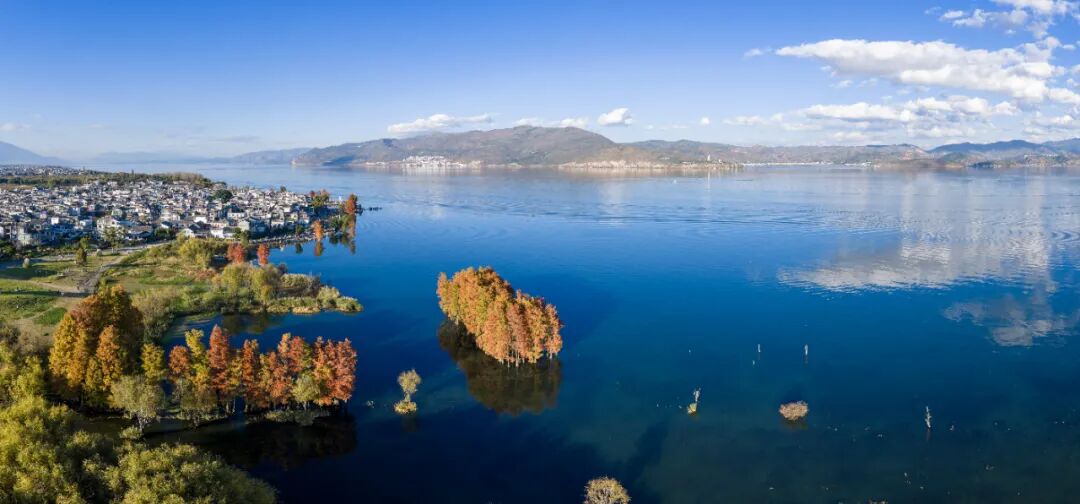 20260323019 20260323019