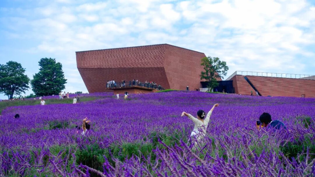 20260323021 20260323021