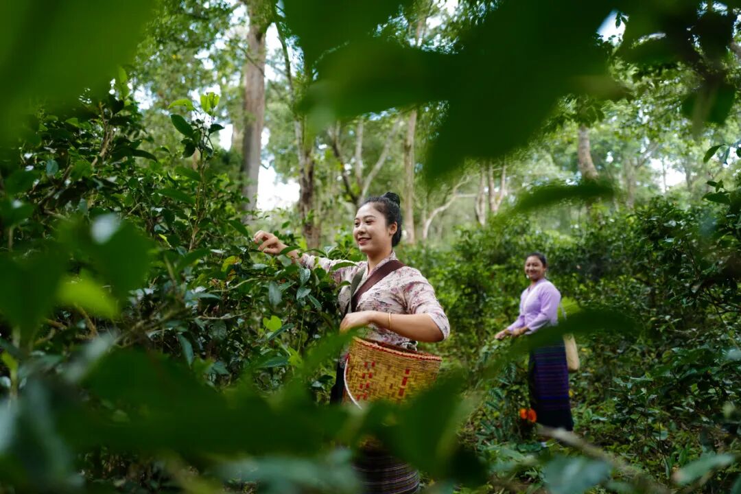 20260323022 20260323022