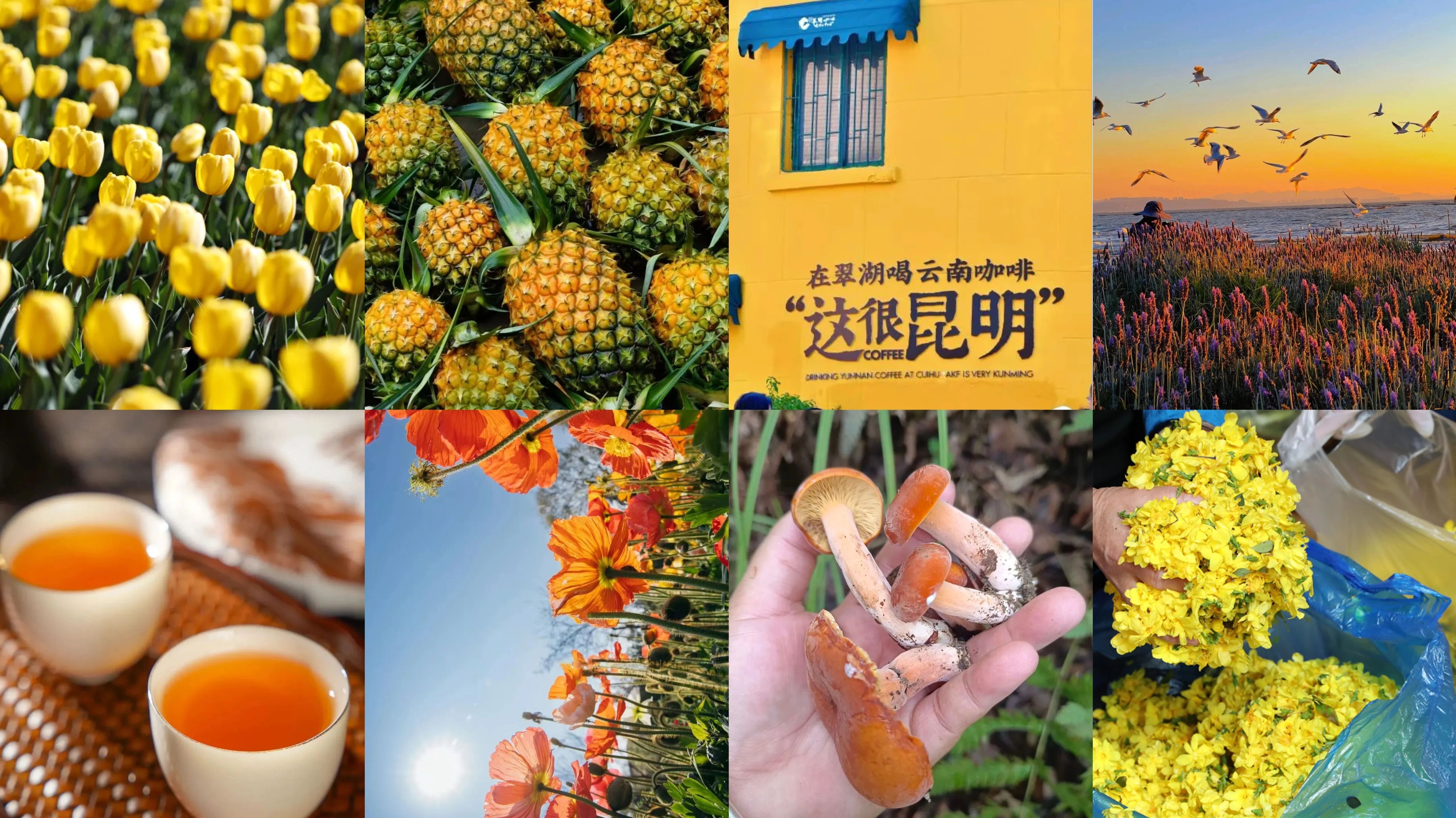 88e98cf1f7b24e1e89452b315e1dd92d