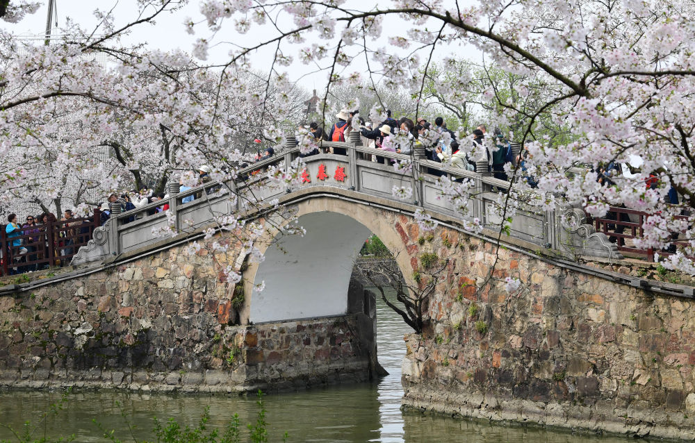 XxjpsgC000020_20260402_CBMFN0A013