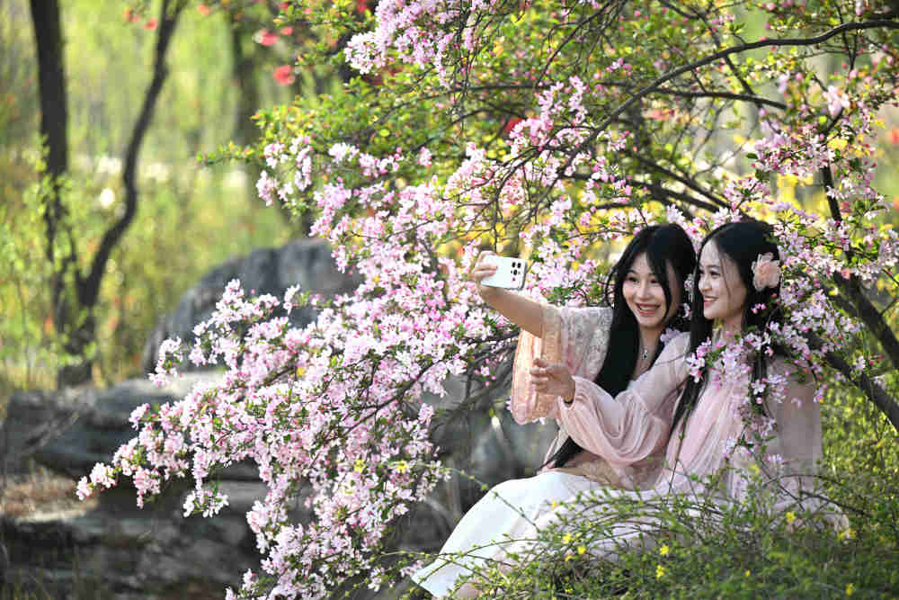 XxjpsgC000020_20260402_CBMFN0A001